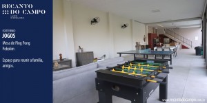 05,pingpong,02